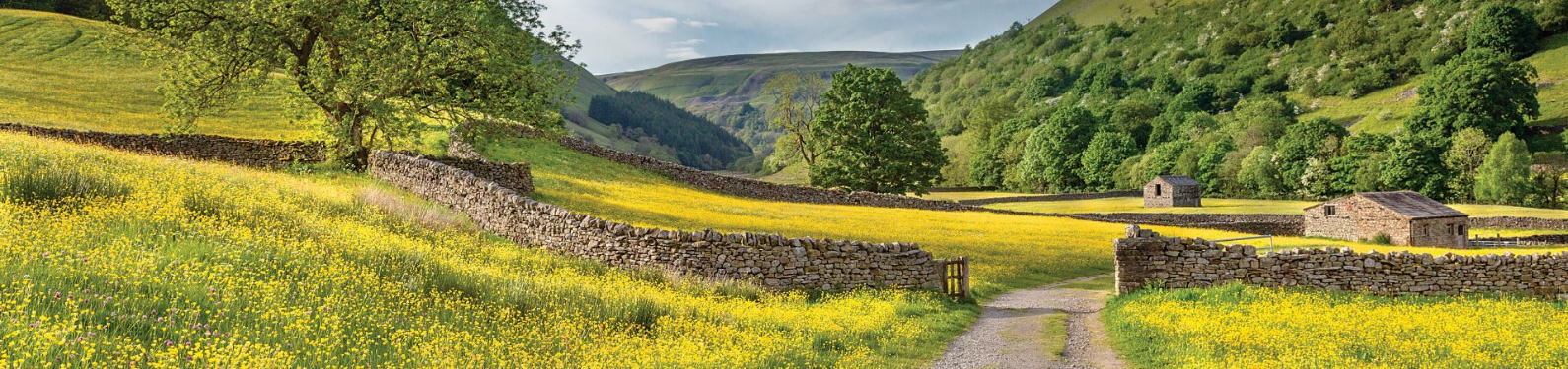 Custodians of the Soil - Swaledale Farming Film and Photography Festival 2024