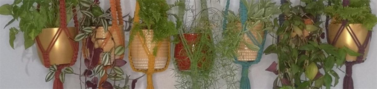 Macrame Workshop - Plant Hanger