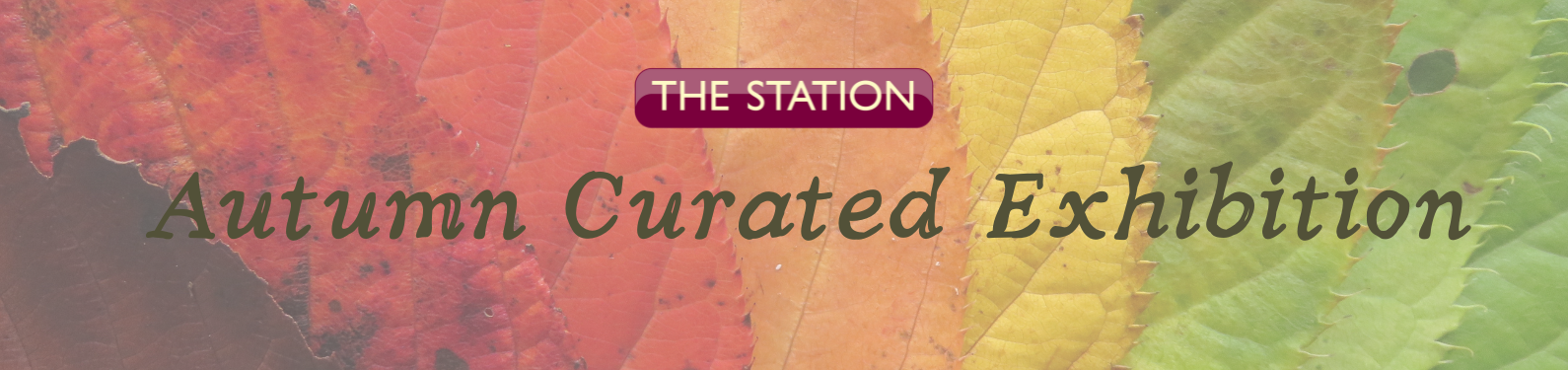 Autumn Curated Exhibition