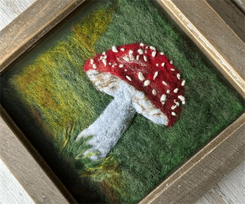 Felted Mushroom Picture Workshop