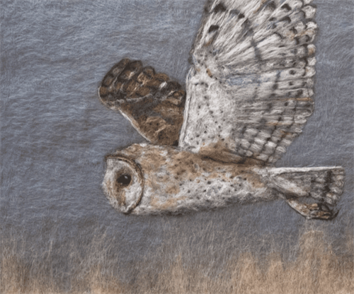 Felted Barn Owl Picture Workshop