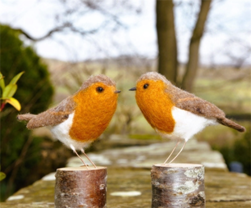 Needle Felted Robin Workshop