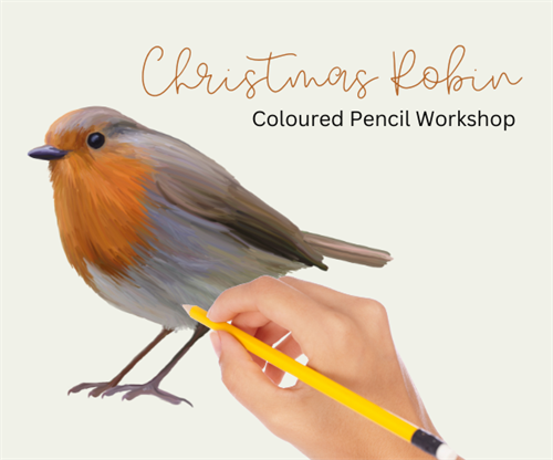 Christmas Robin Coloured Pencil Workshop